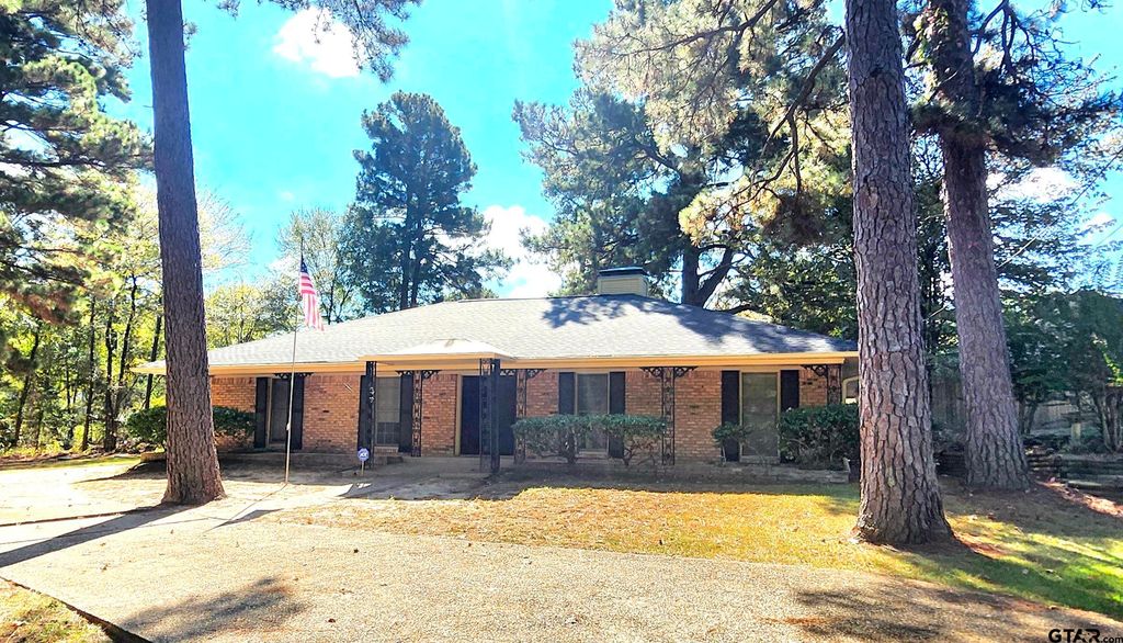 14141 CR 1237, Tyler, TX 75703