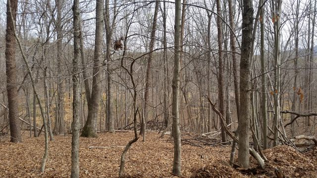 Lot 383 Mountain Shore DR, Penhook, VA 24137