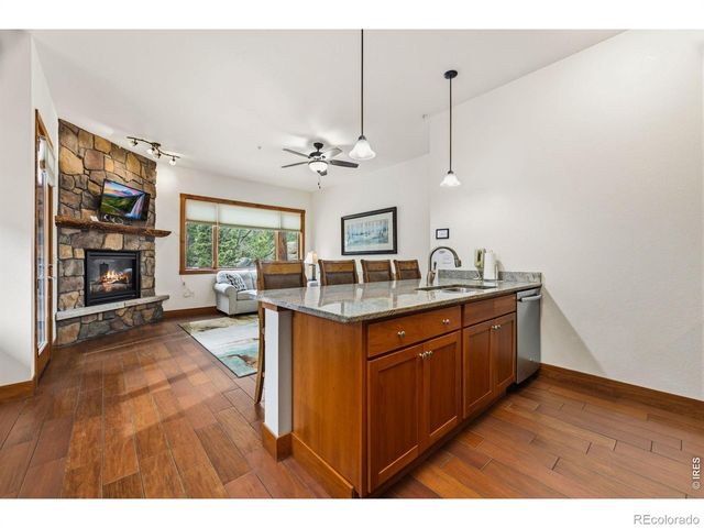 199 Twin Owls Lane 1, Estes Park, CO 80517