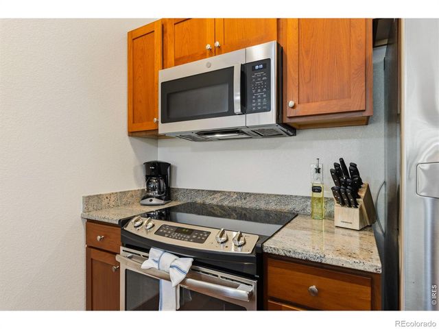 199 Twin Owls Lane 1, Estes Park, CO 80517