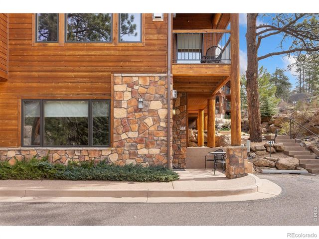 199 Twin Owls Lane 1, Estes Park, CO 80517