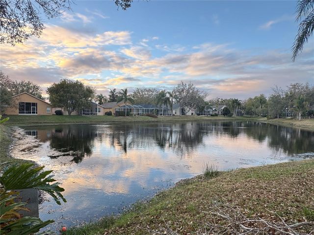 10130 HEATHER SOUND DRIVE, Tampa, FL 33647