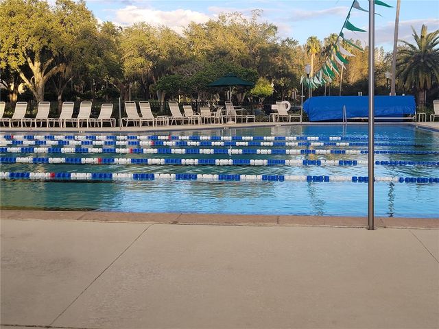 10130 HEATHER SOUND DRIVE, Tampa, FL 33647