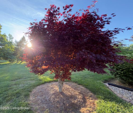 314 Stoney Ln, Taylorsville, KY 40071