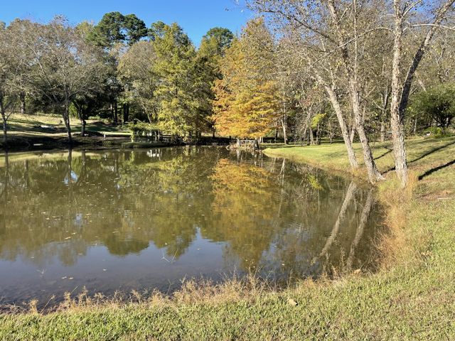 22233 County Road 223, Arp, TX 75750