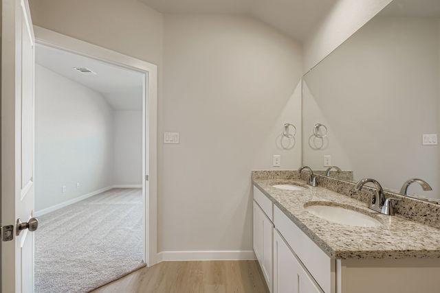 3009 Blue Pine Place, Dallas, TX 75253