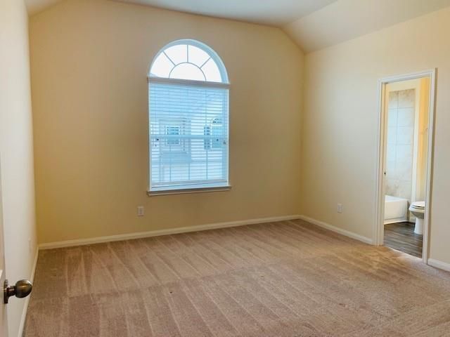 2319 Bermuda Palms Drive, Missouri City, TX 77459