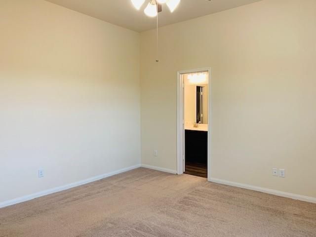 2319 Bermuda Palms Drive, Missouri City, TX 77459