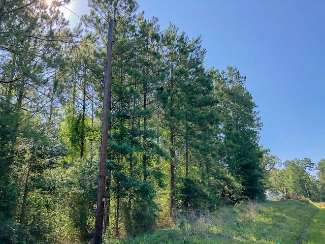 00 Cr 367, Zavalla, TX 75980