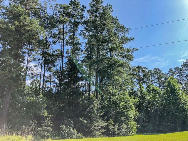 00 Cr 367, Zavalla, TX 75980