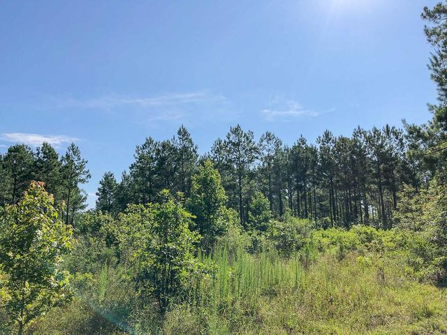 00 Cr 367, Zavalla, TX 75980