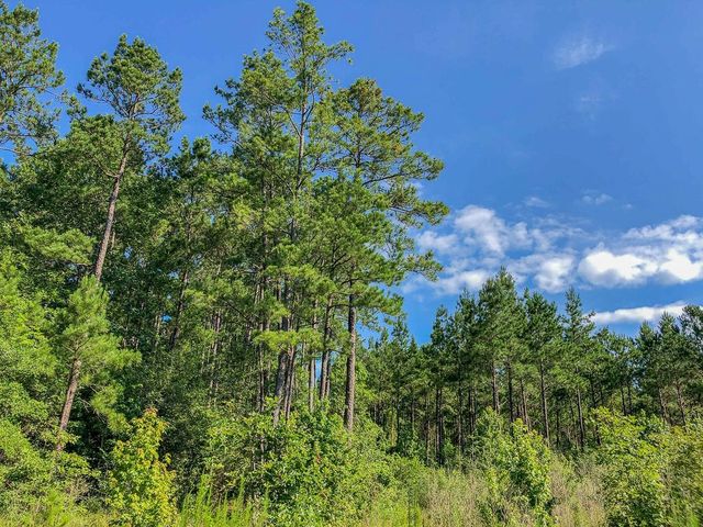 00 Cr 367, Zavalla, TX 75980