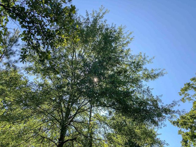 00 Cr 367, Zavalla, TX 75980