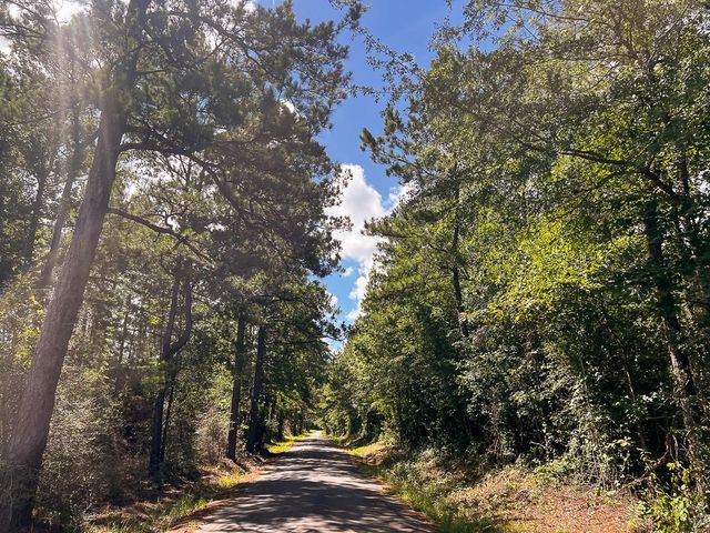 00 Cr 367, Zavalla, TX 75980