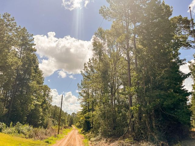 00 Cr 367, Zavalla, TX 75980