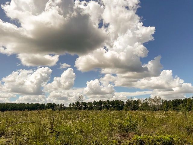 00 Cr 367, Zavalla, TX 75980