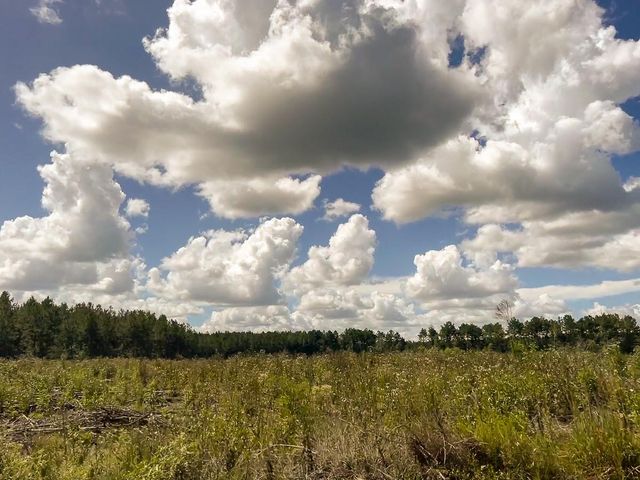 00 Cr 367, Zavalla, TX 75980