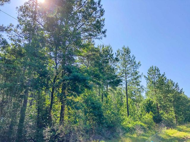 00 Cr 367, Zavalla, TX 75980