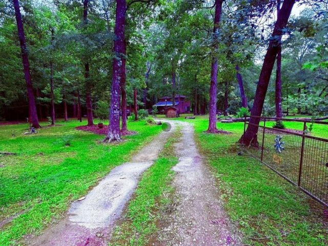 341 Pine Valley Drive, Shepherd, TX 77371