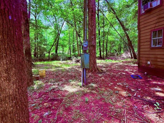 341 Pine Valley Drive, Shepherd, TX 77371