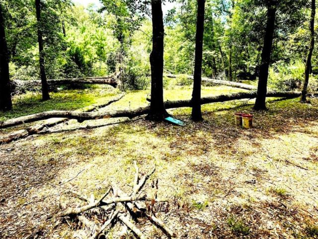 341 Pine Valley Drive, Shepherd, TX 77371