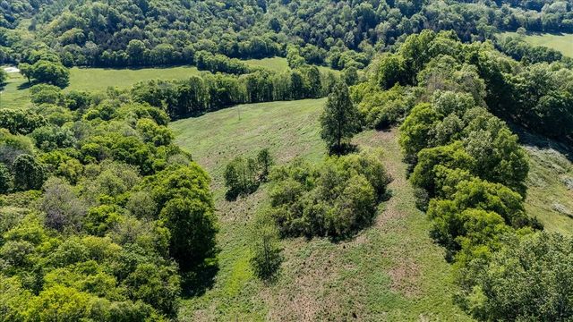 7480 Beech Hill Rd, Pulaski, TN 38478