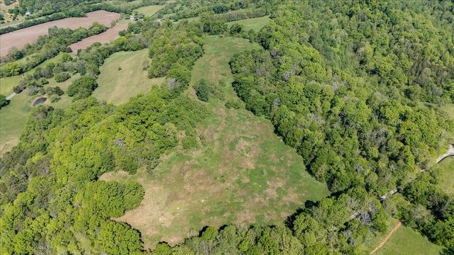 7480 Beech Hill Rd, Pulaski, TN 38478