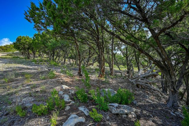 10909 Turkey Bend DR, Jonestown, TX 78645