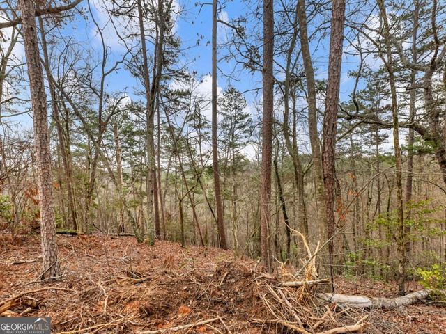 7676 Pea Ridge Road, Lula, GA 30554