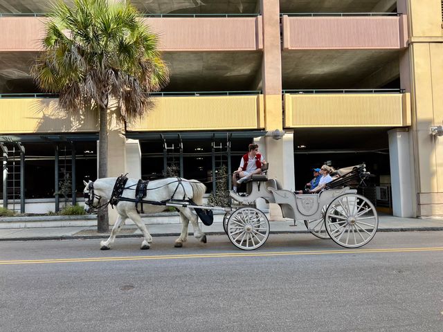 85 Cumberland Street 17, Charleston, SC 29401