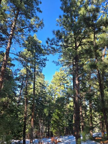 TBD Zorn Rd, Rye, CO 81069