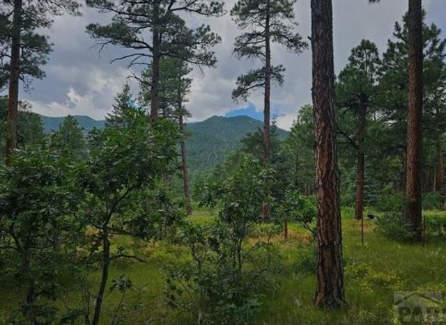TBD Zorn Rd, Rye, CO 81069