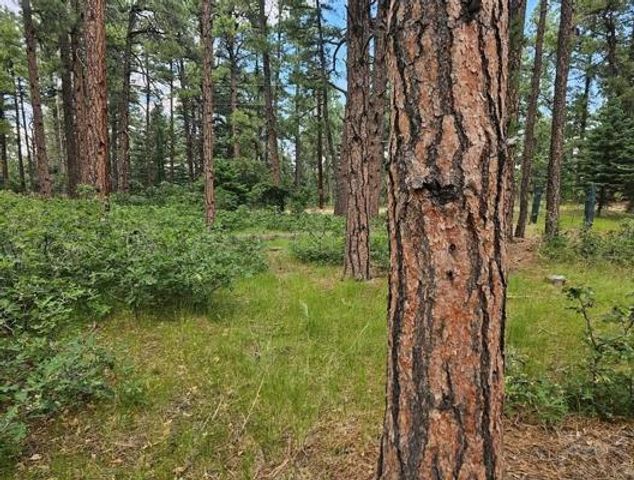 TBD Zorn Rd, Rye, CO 81069