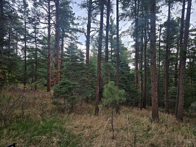 TBD Zorn Rd, Rye, CO 81069