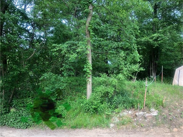 11133 Hillside, Pinckney, MI 48169