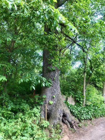 11133 Hillside, Pinckney, MI 48169