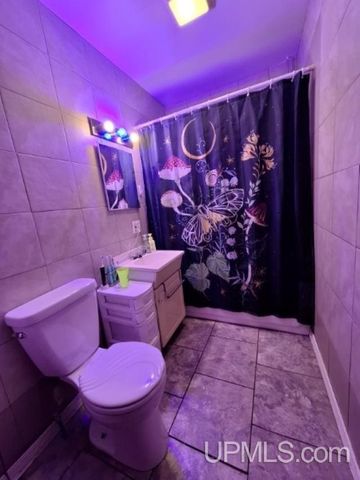 117 Baltic Avenue, Caspian, MI 49915