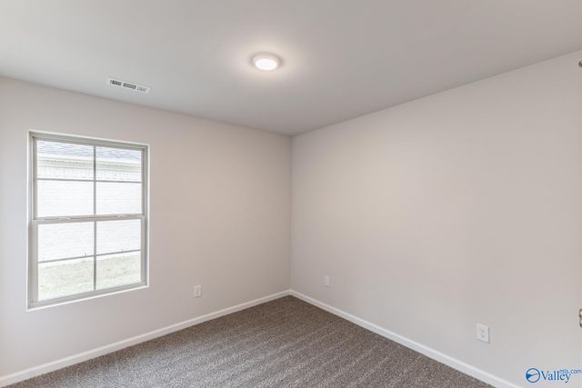 135 Domingues Avenue, Meridianville, AL 35759