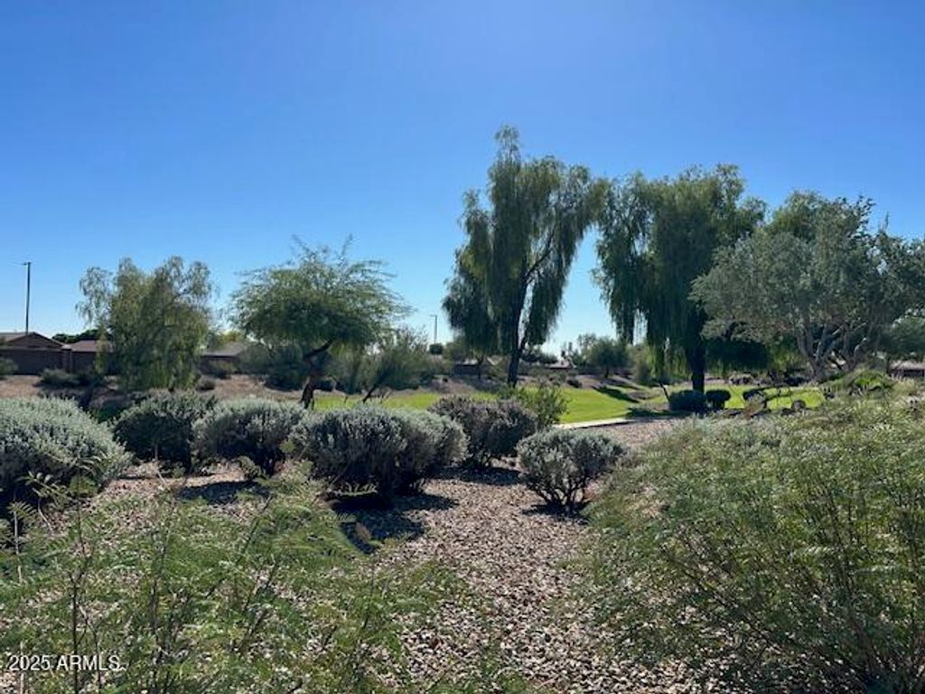 Image 37 of property listing at 17807 N NAVARRO Court, Surprise, AZ 85374