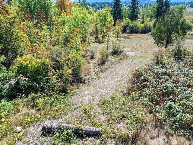 40325 Dean Kreger Road E, Eatonville, WA 98328