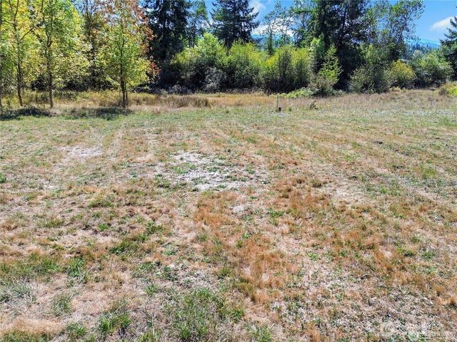 40325 Dean Kreger Road E, Eatonville, WA 98328