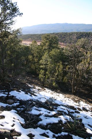 30 Puntilla Drive, Tijeras, NM 87059