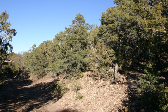 30 Puntilla Drive, Tijeras, NM 87059