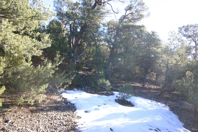 30 Puntilla Drive, Tijeras, NM 87059