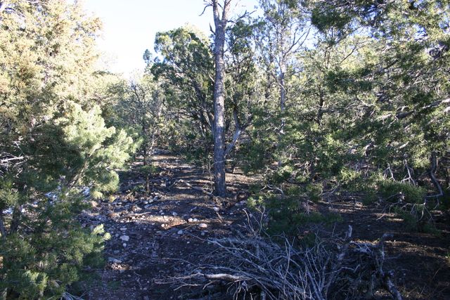 30 Puntilla Drive, Tijeras, NM 87059