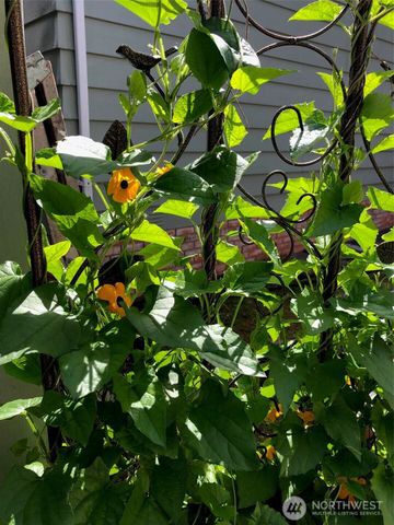 815 124th Street SW, Everett, WA 98204