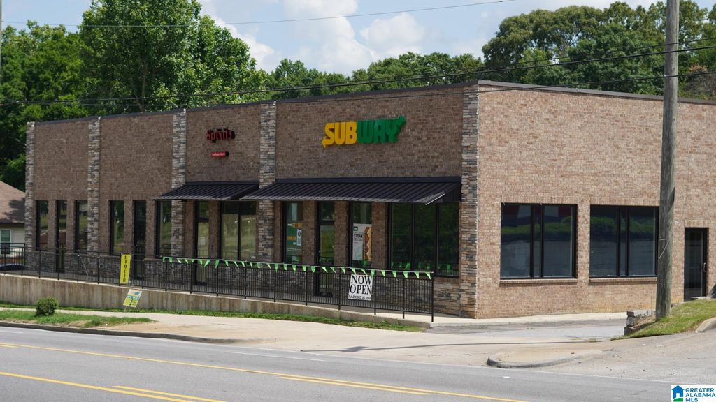 1219 CARRAWAY BOULEVARD, Birmingham, AL 35234