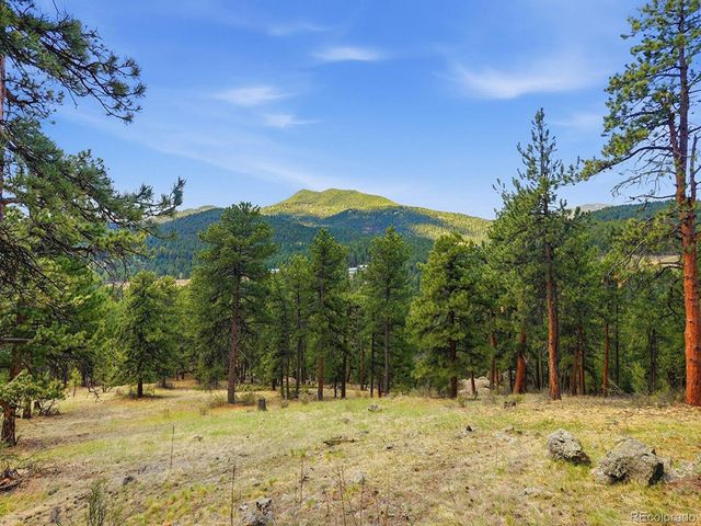 7062 Peaceful Hills Rd, Morrison, CO 80465