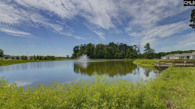 202 Ruby Prince Road, Gilbert, SC 29054