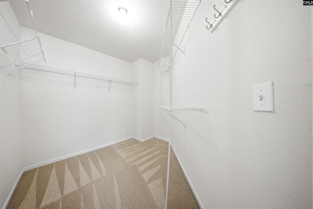 201 Rindle Drive, Lexington, SC 29072